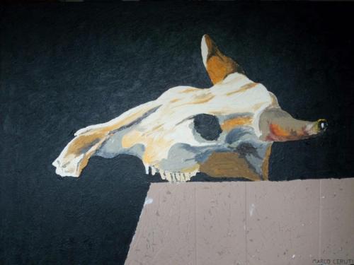 Natura morta con bucranio